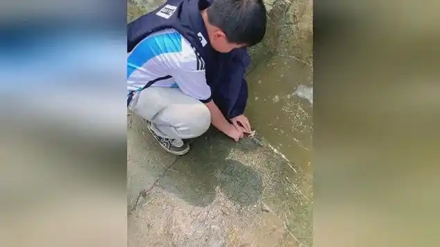 青蛙疑似溺水 小孩哥一指禅心肺复苏_网易视频