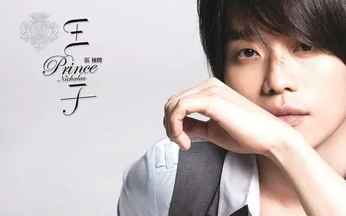 华语k歌小天王称号的张栋梁电脑壁纸