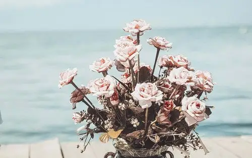 最美大理小清新唯美风景壁纸