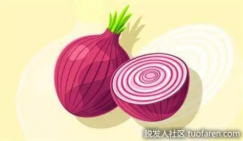 洋葱汁对头发再生和扭转白发的好处