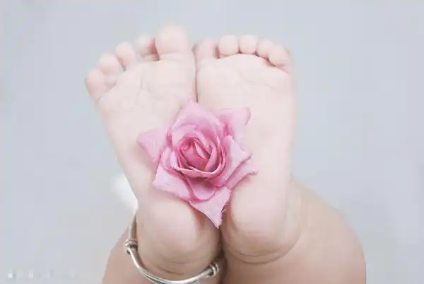 摇篮论坛各版块一月活动汇总 不断更新