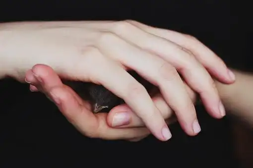 美手意境图片唯美漂亮的一双手图片3