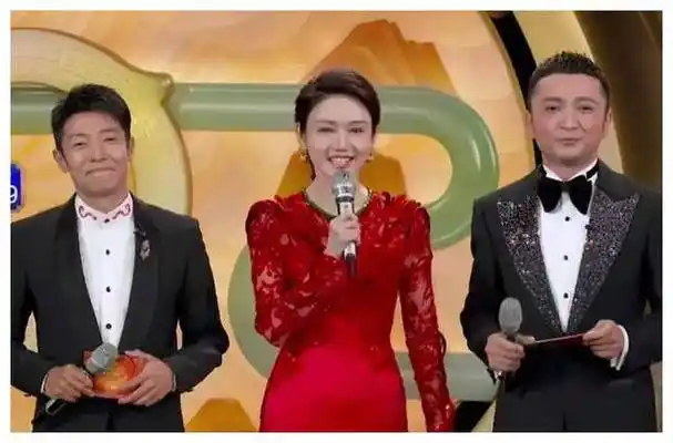 春晚主持人选对!导演组用人得当!_进行_观众_专业