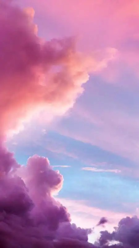 12星座专属"粉色壁纸",天秤座少女心童话城堡,天蝎座樱花纷飞