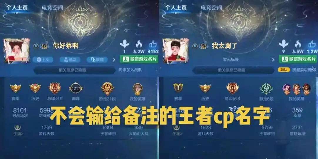 不会输给备注的王者cp名字,网名搞笑沙雕情侣 #情侣网名 # - 抖音