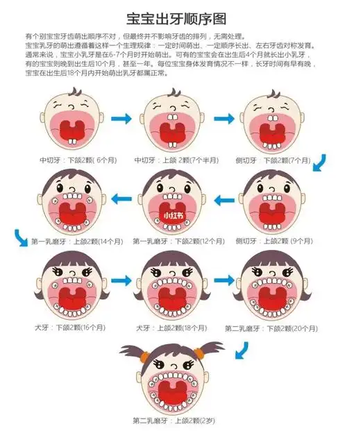 幼儿长牙的顺序是什么?出牙有什么症状?换牙应该注意什么呢?
