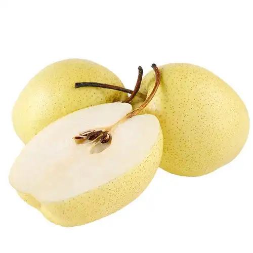 雪梨河北赵县赵州雪花梨10斤包邮新鲜水果梨子梨水川贝雪梨批