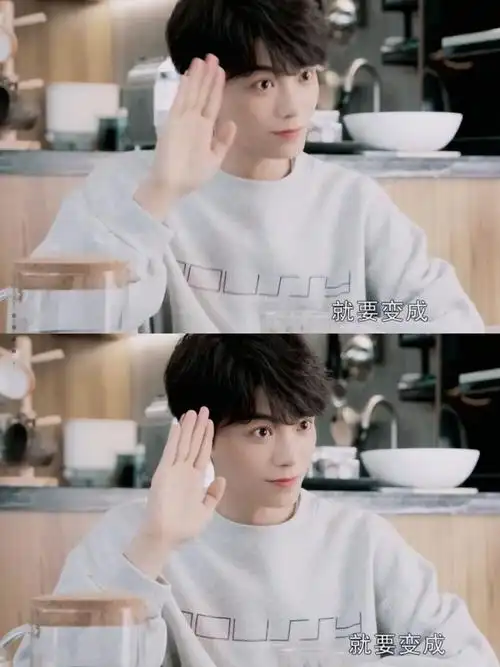 丁禹兮丁禹兮月光变奏曲丁禹兮昼川