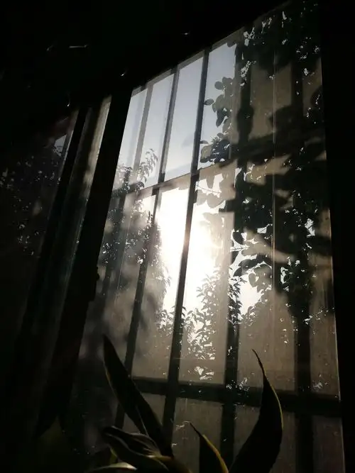 一缕阳光照家园(原创)