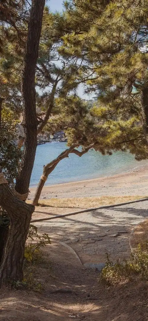 高清壁纸无水印 一组秋意风景摄影壁纸