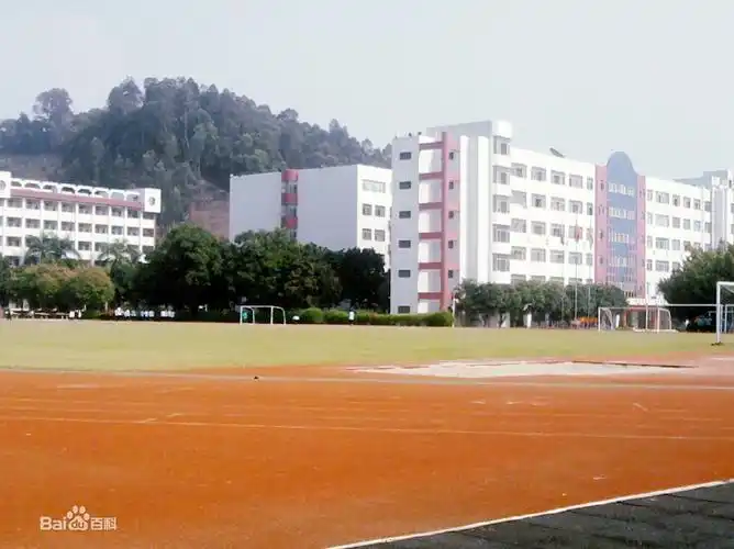 广州市番禺区石楼中学照片1