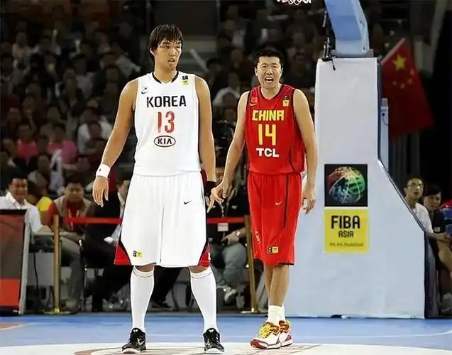 河升镇曾扬言击败姚明却被王治郅打哭