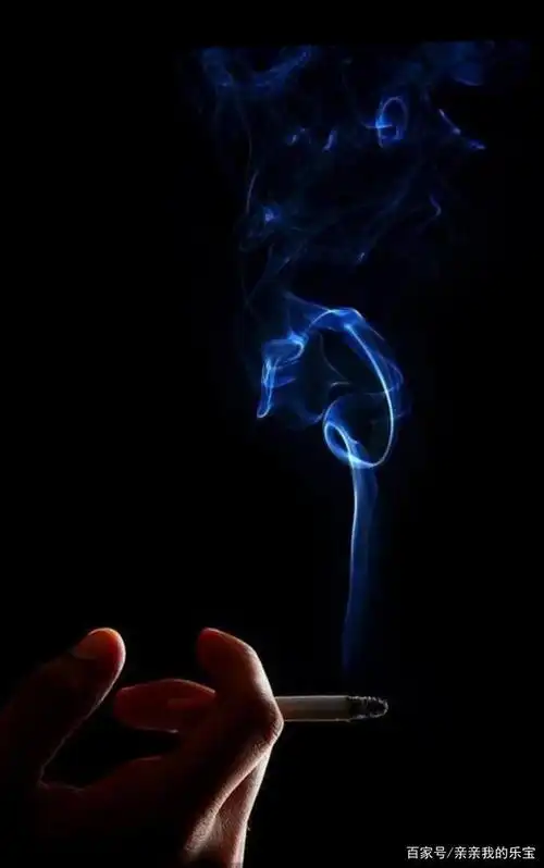 放下笔 握一下冻得麻木的手 点上了一支烟 淡淡地吸上几口 燃烧后的