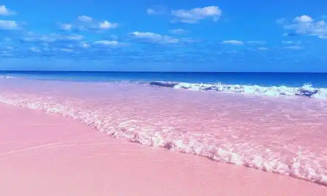 你见过全球唯一的粉色沙滩吗?赶紧收藏起来