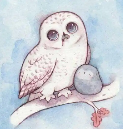 彩铅插画超萌的彩铅手绘小动物插画这群乖巧小家伙实在太可爱了