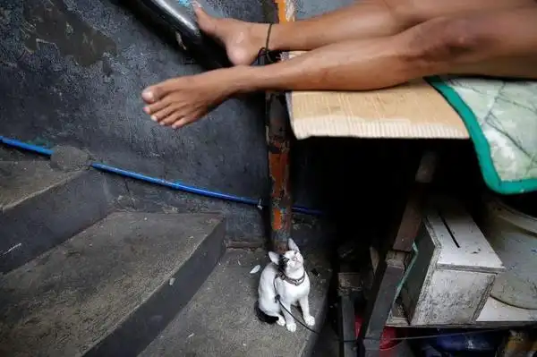 图为监狱的囚犯们在拥挤的房间里睡觉.