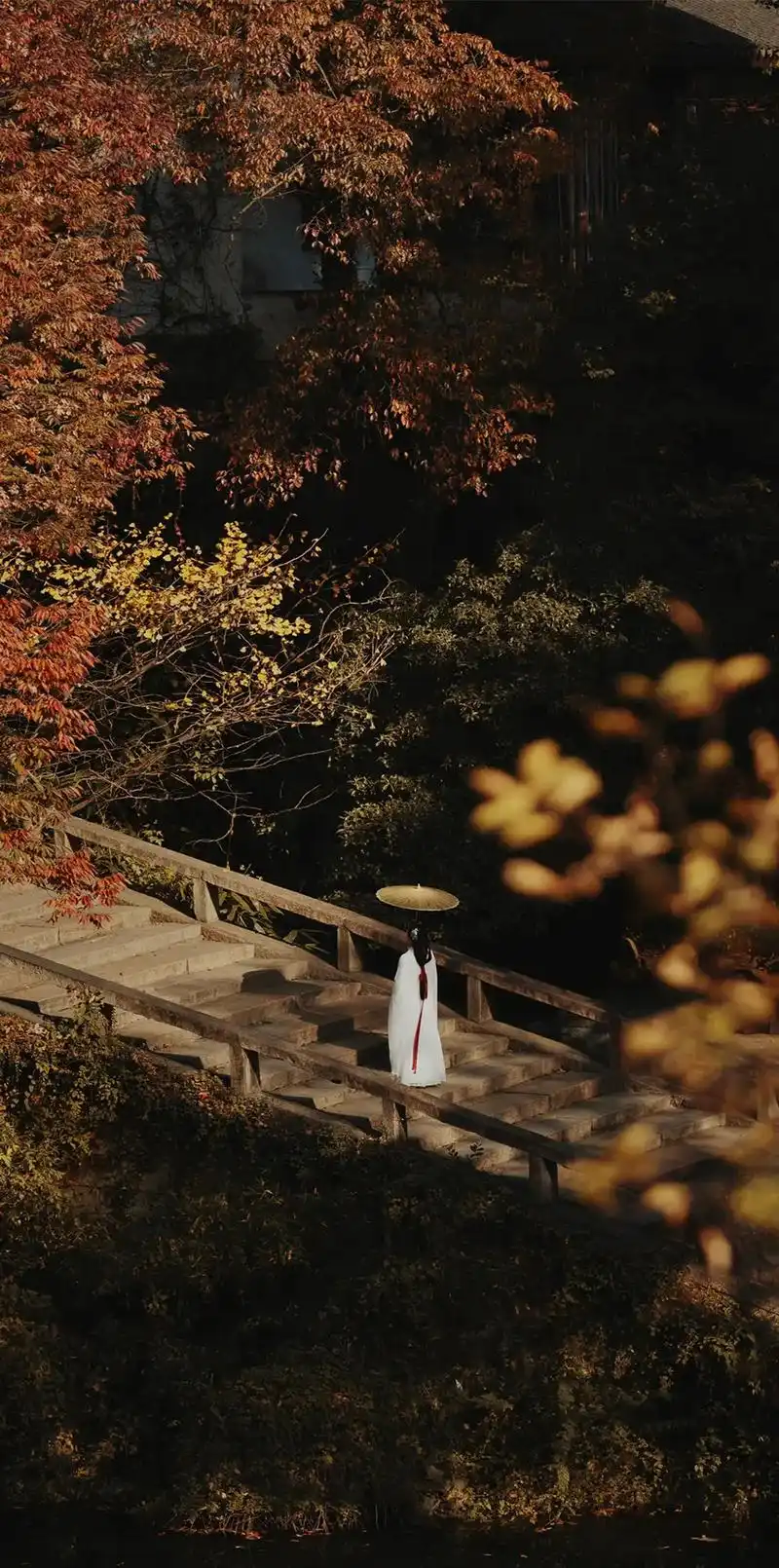 抖音图文来了 姑苏秋意 转瞬即逝#古风写真 #汉服 - 抖音