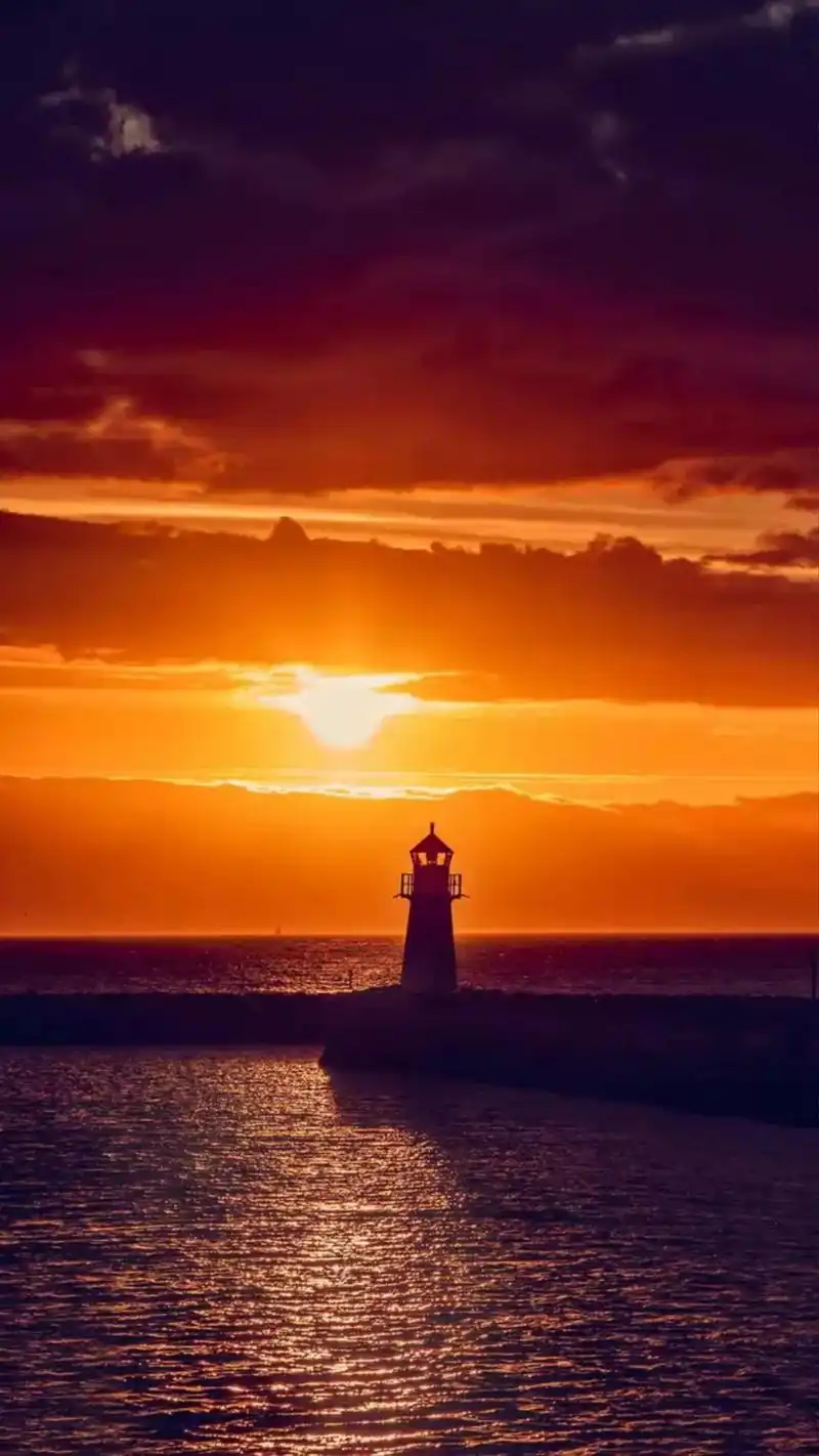 1242_2208竖版 竖屏