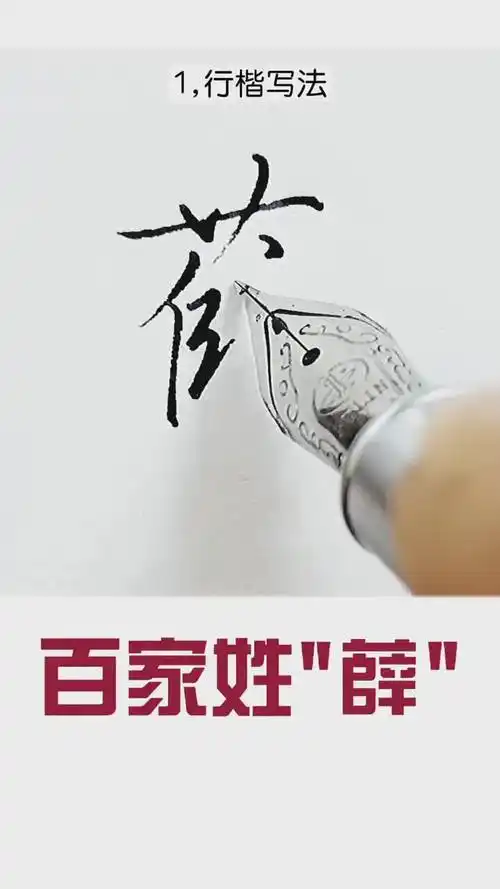 硬笔练字#百家姓薛怎么写好看