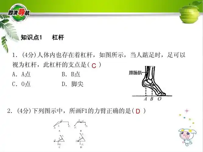 1杠杆和杠杆的平衡(共11张ppt)答案