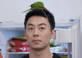 《漂洋过海来看你》今晚首播 朱亚文成王丽坤小男仆