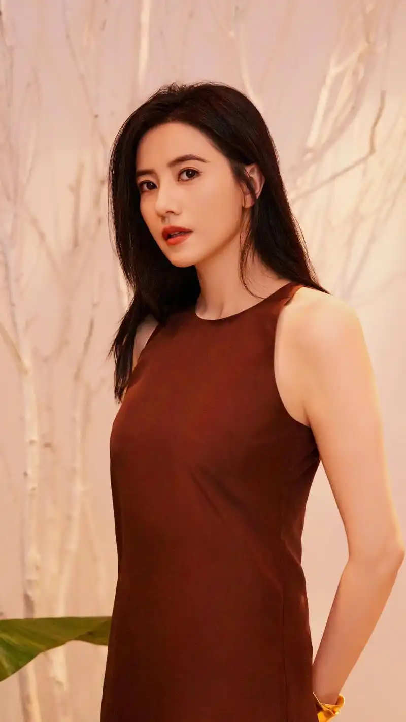 高圆圆壁纸风靡背后:娱乐市场审美趋势与商业价值深度解析 本期美女