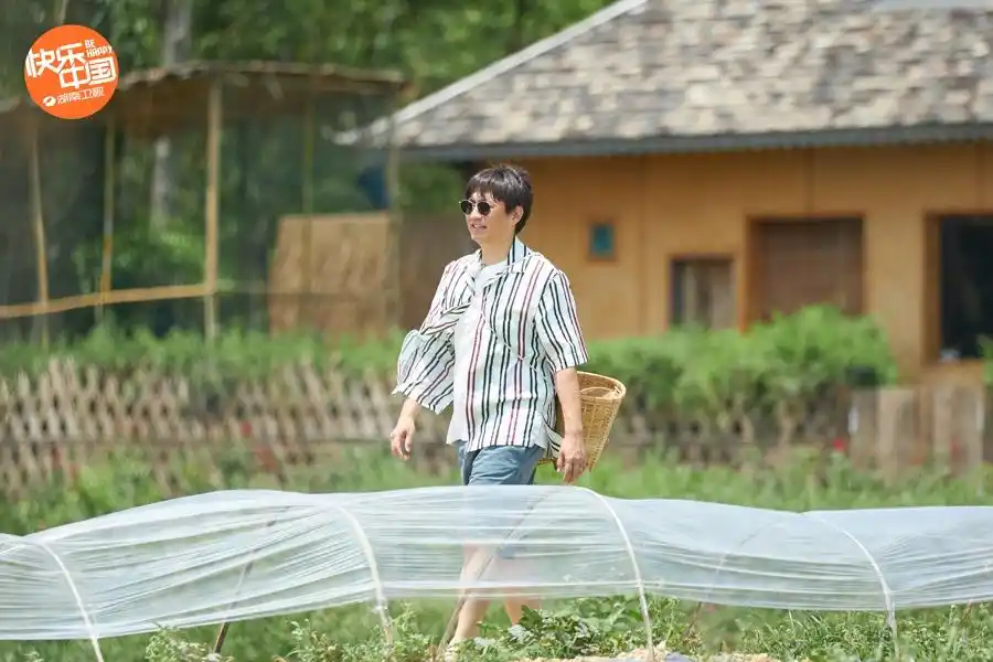 《向往的生活4》"模糊一点"是黄磊何炅交友之道