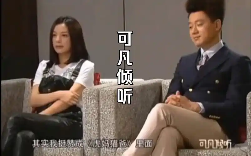 赵薇佟大为做客曹可凡《可凡倾听》访谈:电视剧《虎妈猫爸》谈对小孩