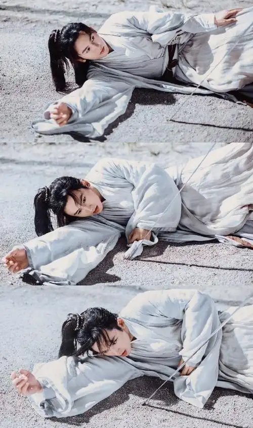 山河令  |  周子舒  |  阿絮