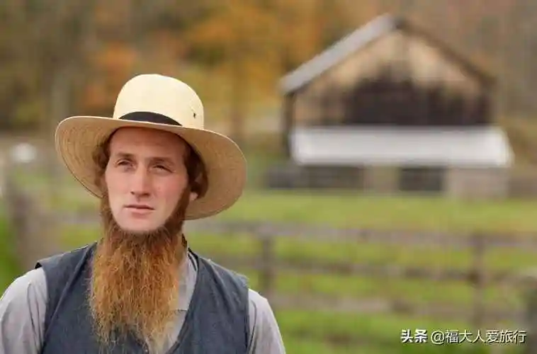 阿米什人(美国阿米什人)_环球信息网