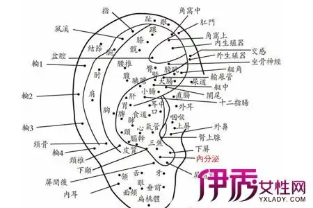 对簿的意思是什么 灵簿什么意思?如何解释?