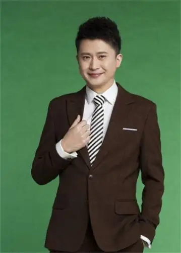 央视端午节晚会主持人阵容杨帆撑起门面艺人客串成主持人