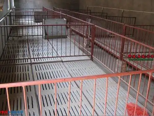 农村最新猪舍建设图片