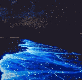 抖音获赞200w火遍大江南北的蓝眼泪这些地方居然都可以看到