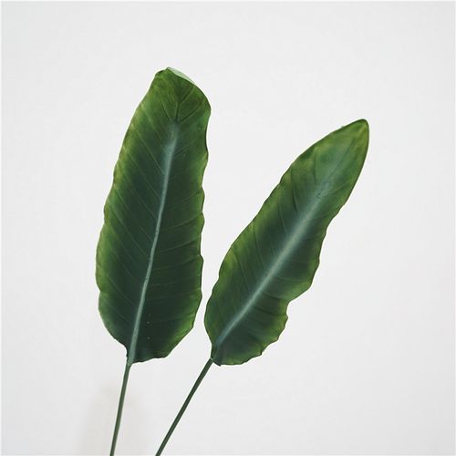 北欧简约仿真天堂鸟叶芭蕉叶ins风插花配材婚礼家居绿植摄影道具