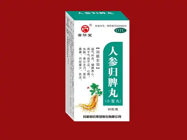 人参归脾丸(小蜜丸)