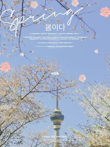 与好友清明踏春,樱花94美如画,人似画中仙~@安图