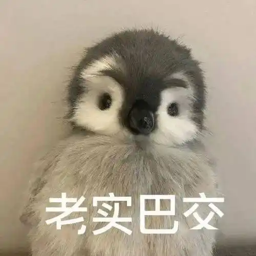 超实用的表情包:出来吧我的宝_公众_il_熊猫头