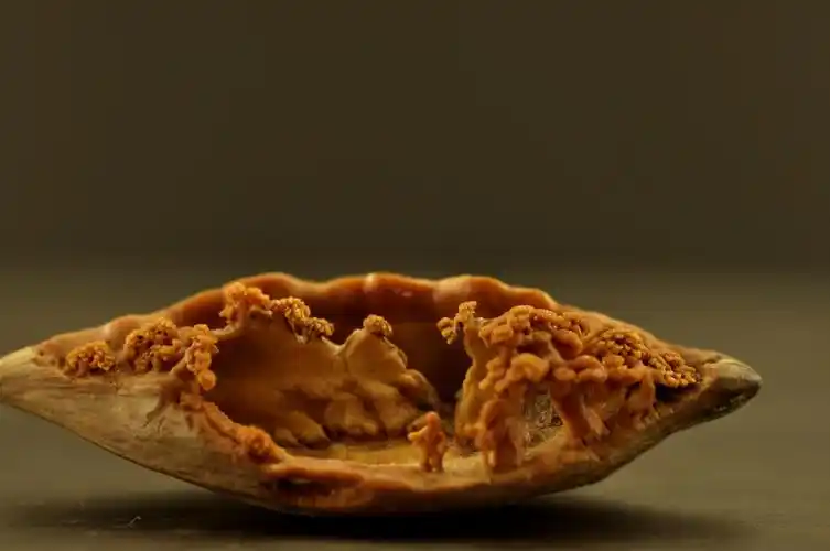 浅谈微雕的发展逸秋