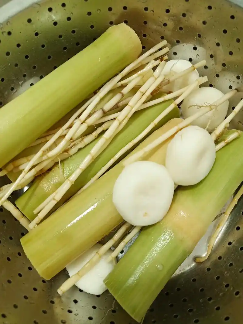 自制清热甘蔗荸荠白茅根煮水