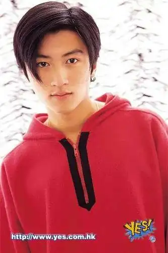 谢霆锋少年图片