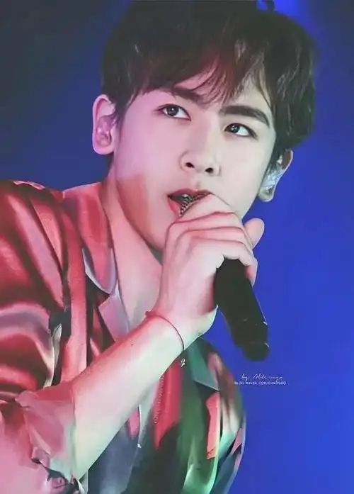 回顾:尼坤新恋情曝光,女方竟然是她!网友:"原来不是宋茜啊"