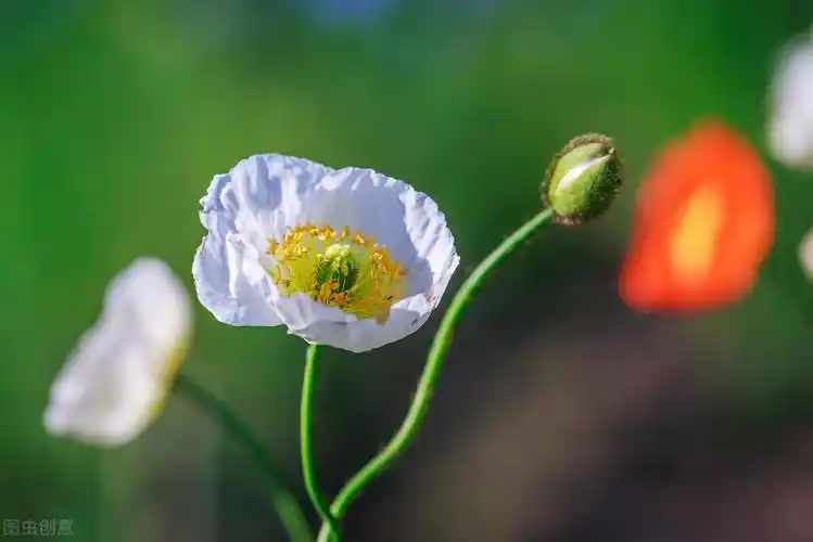 关于夏天的温柔文案短句(夏天文案句子温柔干净)