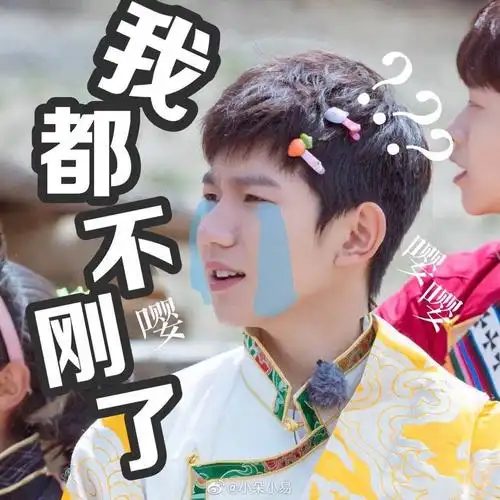 宁说啥我源源没听懂好刚(可爱)的表情包哈哈哈哈哈@tfboys-王源