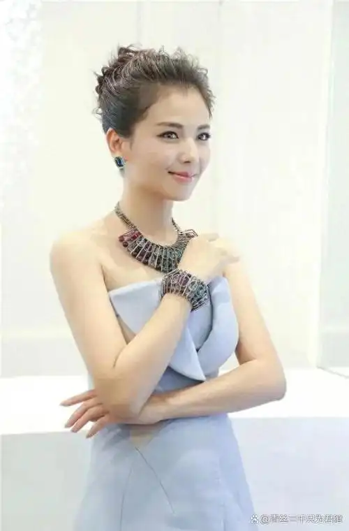 书名:刘涛:追寻真相的艺人生活