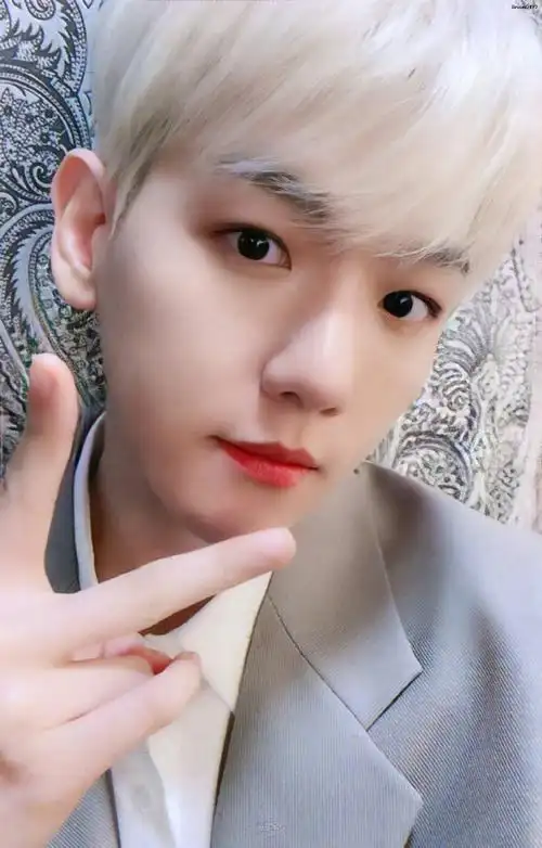 边伯贤#一些绝美自拍 自拍匠人02