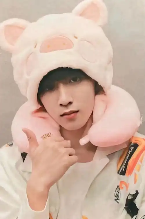 那些年修勾戴过的头套 可爱晕了@时代少年团-刘耀文#刘耀文 十八迎焰