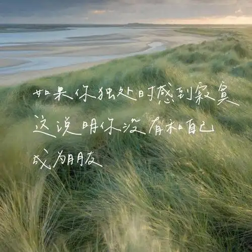 暖心文案:前途和我,记得先放弃我