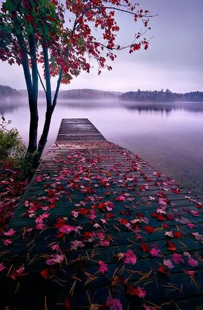 高清唯美意境美女图片 高清唯美意境分享