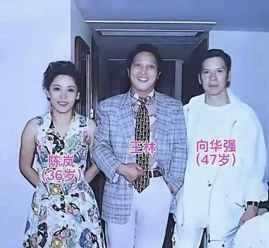 向华强老婆陈岚年轻时的颜值,简直了.